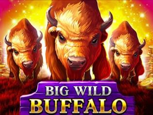 Big Wild Buffalo